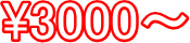 \3000`